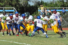 Enlarge photo 144