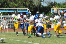 Enlarge photo 145