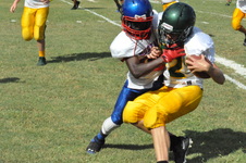 Enlarge photo 151