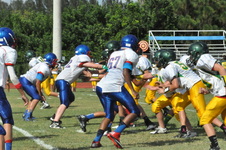 Enlarge photo 152