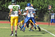 Enlarge photo 154