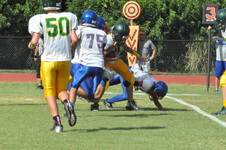 Enlarge photo 155