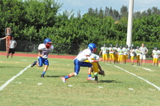 Enlarge photo 157