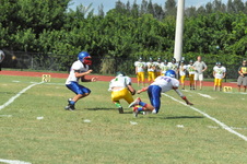 Enlarge photo 158