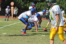 Enlarge photo 164
