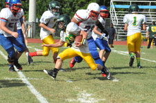 Enlarge photo 167