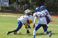 Enlarge photo 168