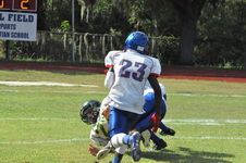 Enlarge photo 169