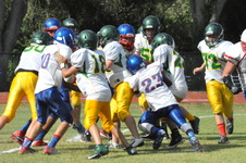 Enlarge photo 172