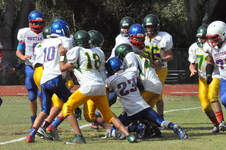 Enlarge photo 173