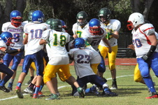 Enlarge photo 174