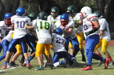 Enlarge photo 175