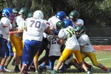 Enlarge photo 178