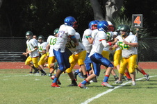Enlarge photo 188