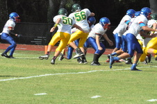 Enlarge photo 203