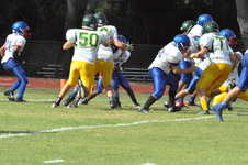 Enlarge photo 204