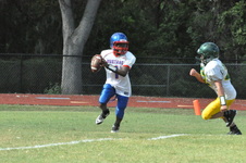 Enlarge photo 213
