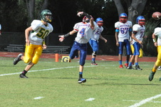 Enlarge photo 216