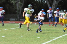 Enlarge photo 217