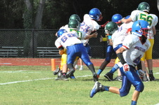 Enlarge photo 221