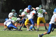 Enlarge photo 222