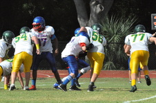 Enlarge photo 224