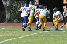 Enlarge photo 226