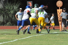 Enlarge photo 227