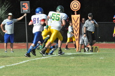 Enlarge photo 228