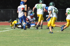 Enlarge photo 229