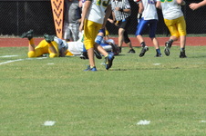 Enlarge photo 230