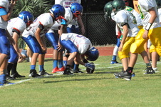 Enlarge photo 235