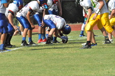 Enlarge photo 236