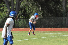 Enlarge photo 237