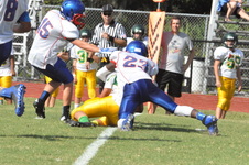 Enlarge photo 243