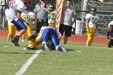 Enlarge photo 244