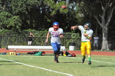 Enlarge photo 251
