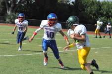 Enlarge photo 253