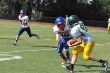 Enlarge photo 254