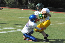 Enlarge photo 256