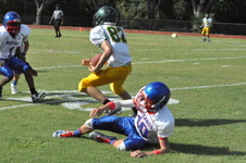 Enlarge photo 259