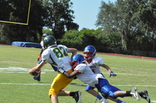 Enlarge photo 260