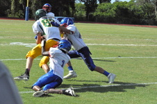 Enlarge photo 261