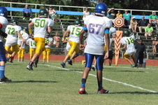 Enlarge photo 279