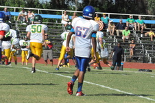 Enlarge photo 280