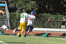 Enlarge photo 287