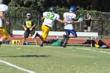 Enlarge photo 288