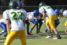 Enlarge photo 302
