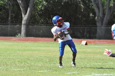 Enlarge photo 305