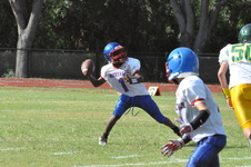 Enlarge photo 306